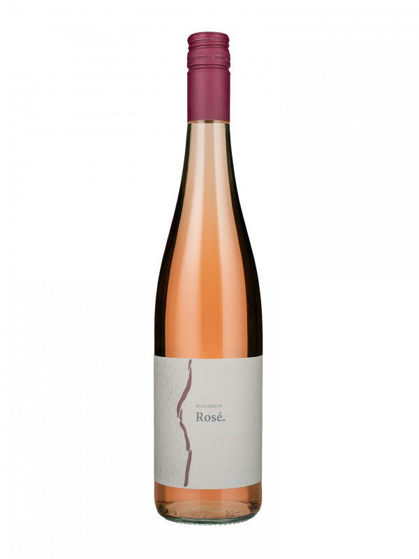 Schlegel-Rose